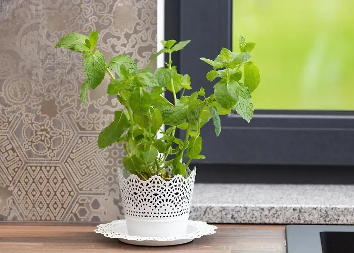 By Renters Prestige Διαμέρισμα